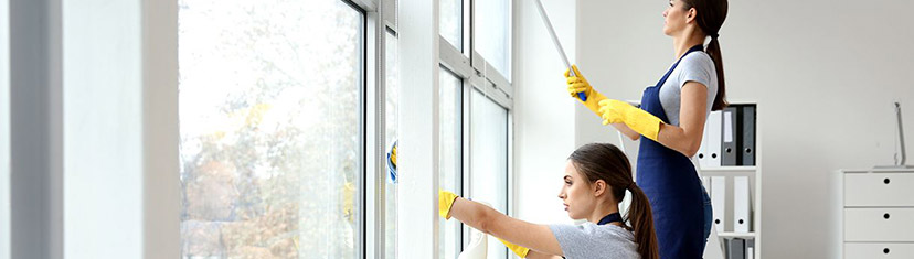 The Best Ways to Clean Your Window Screens